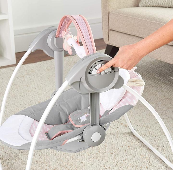 Actual product image Ingenuity Baby Swing & Baby Seesaw, Flora