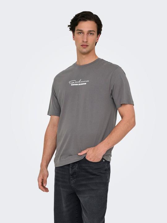 Produktbild Only & Sons Onskeane Rlx Ss Print Tee Noos (XL)