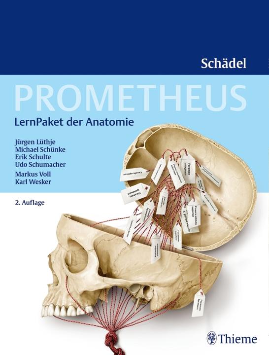 Produktbild Prometheus Schädel,LernPaket d.Anatomie