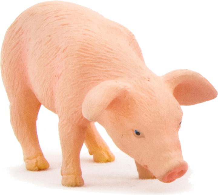 Produktbild Animal Planet Ferkel fressend