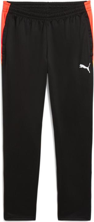 Puma IndividualLIGA Training Pants