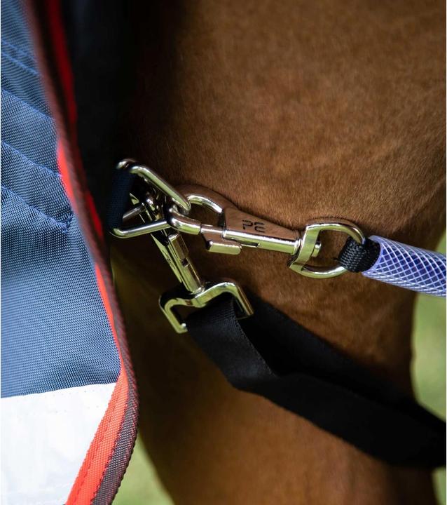 Immagine prodotto Premier Equine Buster Hardy 200 g (160 cm)