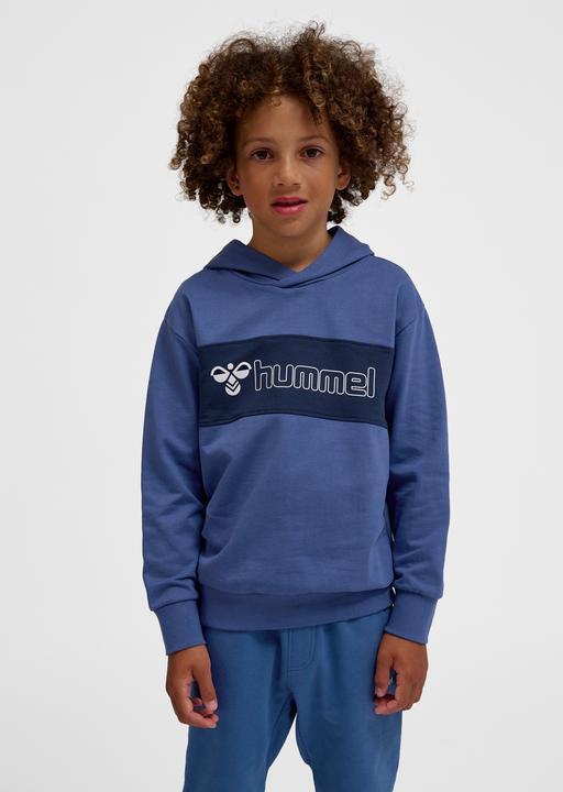 Image du produit hummel hmlATLAS HOODIE (176)