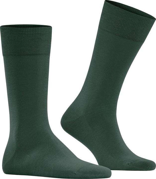 Falke Cool 24/7 (Einzelpack, 39 - 40)