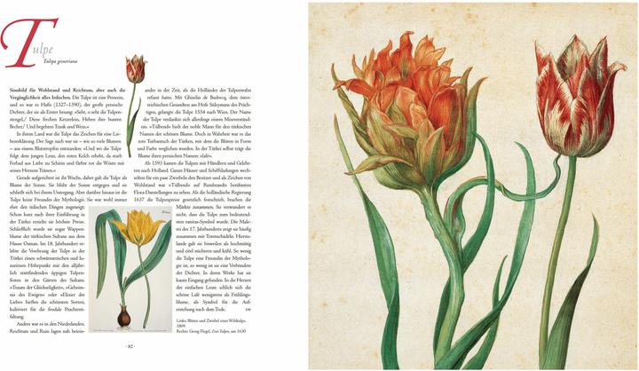 Produktbild Die Sprache der Blumen. Pflanzen und ihre symbolische Bedeutung (Deutsch, Marina Heilmeyer, 2024)