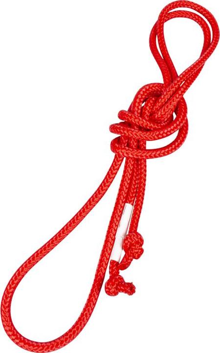 Rot