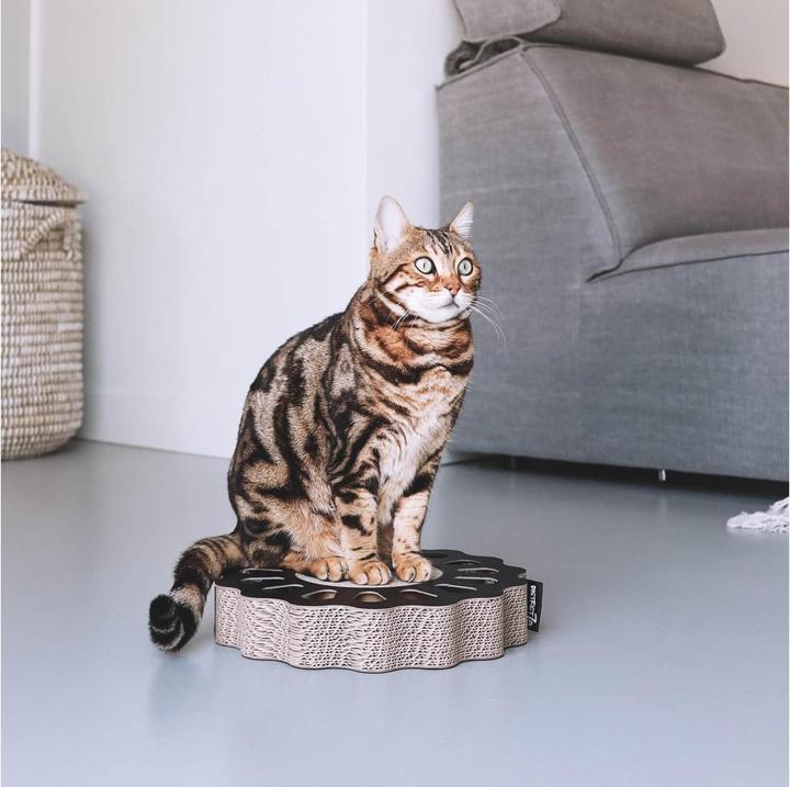 Actual product image District 70 Cat toy Sunny Black play board, 32 x 32 x 6 cm (Cat scratching toy)