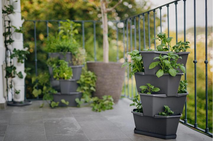 Produktbild Gusta Garden Paul Potato (38.80 cm)
