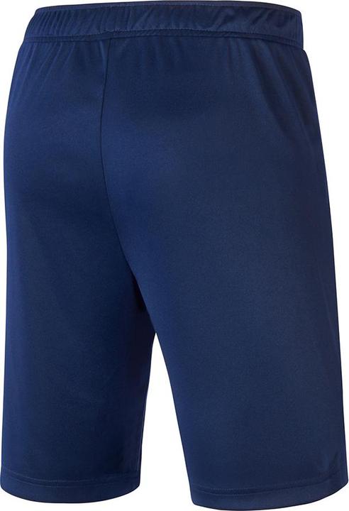 Image du produit Mizuno Short Nara Trainng (M)