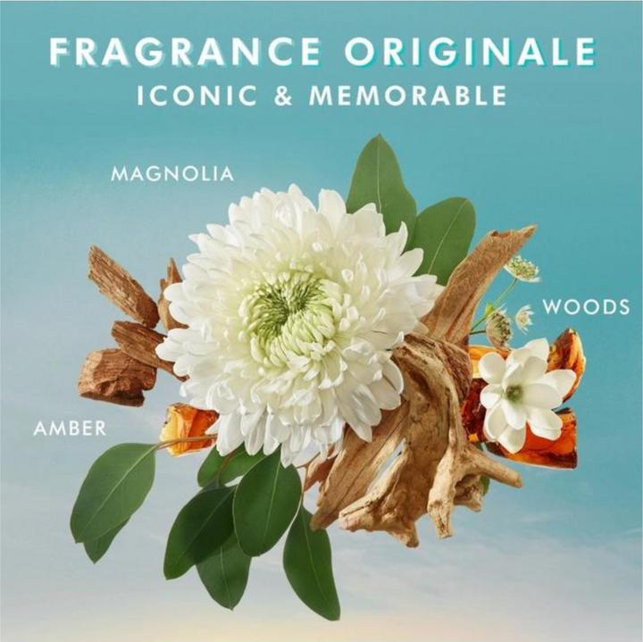 Actual product image Moroccanoil Original (250 ml)