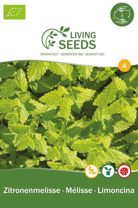Produktbild Living Seeds Zitronenmelisse (Pflanzensamen)