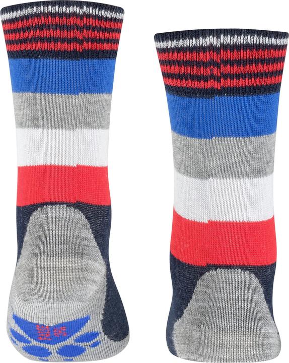 Actual product image Falke Active Fox Kids Socks (19 - 22)