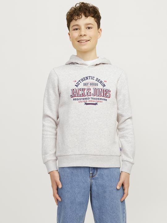 Produktbild Jack & Jones JJELOGO SWEAT HOOD 2 COL 24/25 NOOS JNR (152)