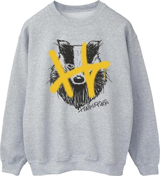 Produktbild Hufflepuff Pop Spray Sweatshirt (S)