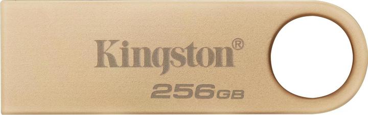 Kingston DataTraveler SE9 G3 (256 GB, USB 3.2, USB-A)