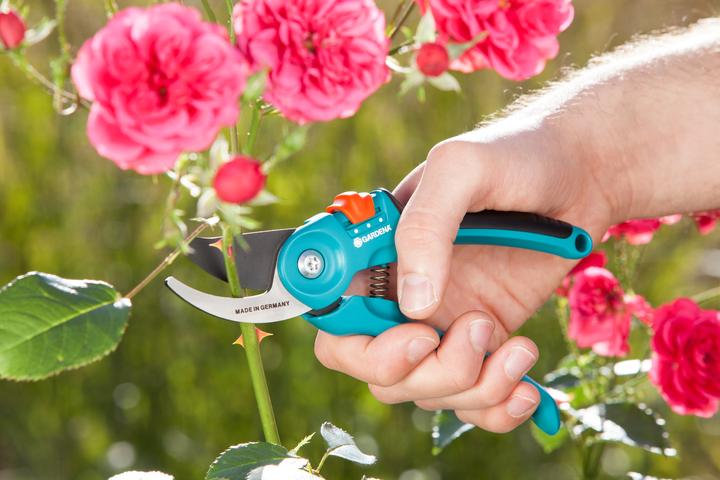 Produktbild Gardena Classic Rebschere