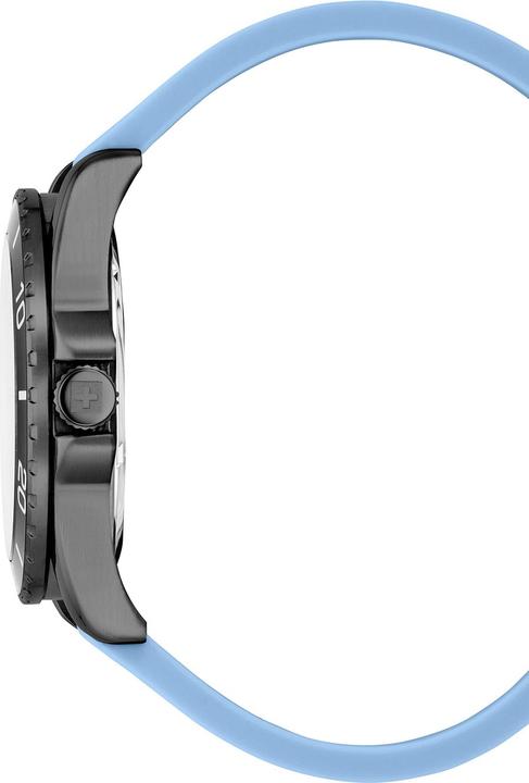 Produktbild Swiss Alpine Military 7029.1871 Raptor Herrenuhr 42mm 10ATM (42 mm)
