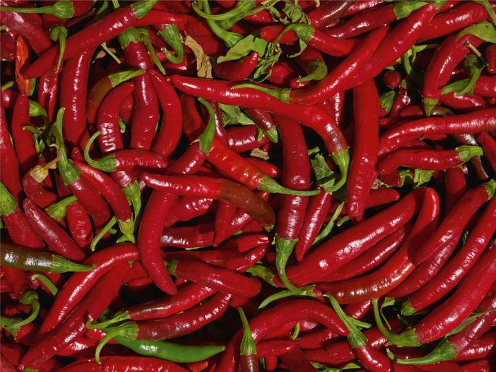Image du produit Living Seeds Scharfe Chili, de Cayenne (Graines de légumes)