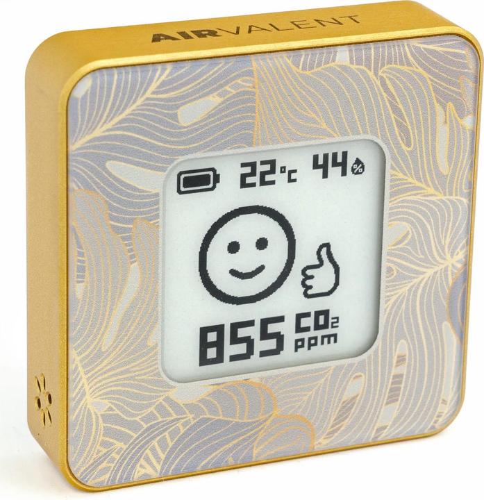 Actual product image NoName Smart Home Air Quality Sensor/Gold/Flor Airv-Flor