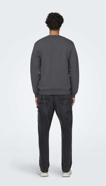 Produktbild Only & Sons Onsceres Crew Neck Noos (XXL)
