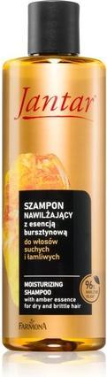 Farmona Feuchtigkeitsspendendes Amber Essence Shampoo für trockenes Haar (300 ml, Flüssiges Shampoo)