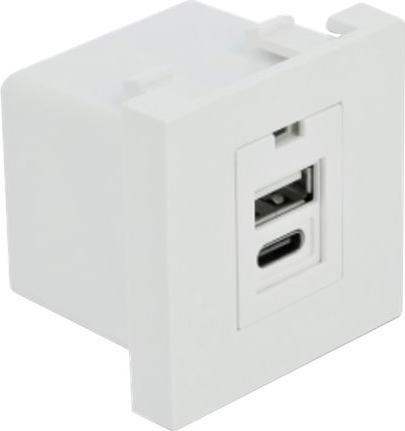 Immagine prodotto Delock Facile 45 Modulo porta di ricarica USB 1 x USB Tipo-A + 1 x USB Tipo-C (0.05 m)