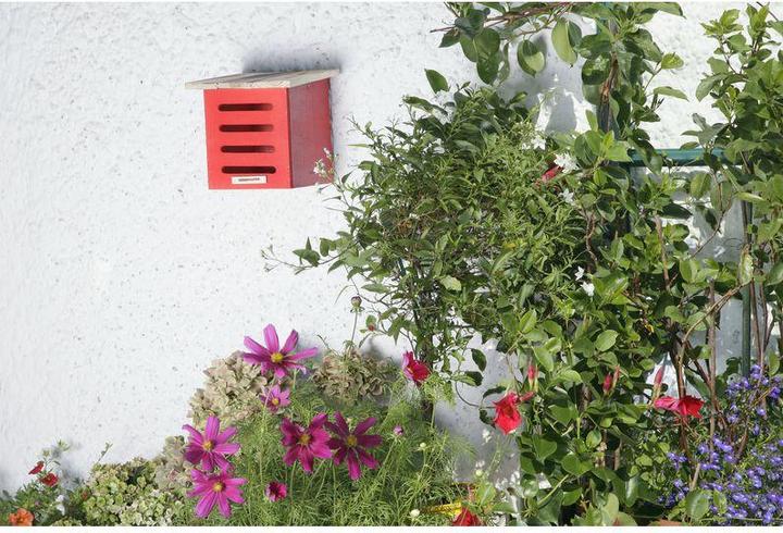 Image du produit Windhager Boîte à mouches (Chrysanthèmes)