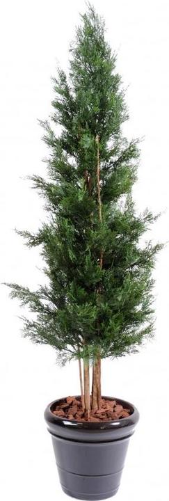Produktbild Greendeco Künstliche Zypresse Thuja, ca. 180cm (UV-Beständig) (180 cm)
