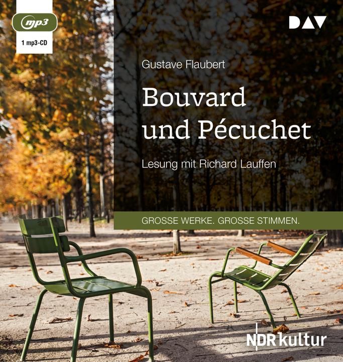 Actual product image Bouvard and Pécuchet (Gustave Flaubert, German)