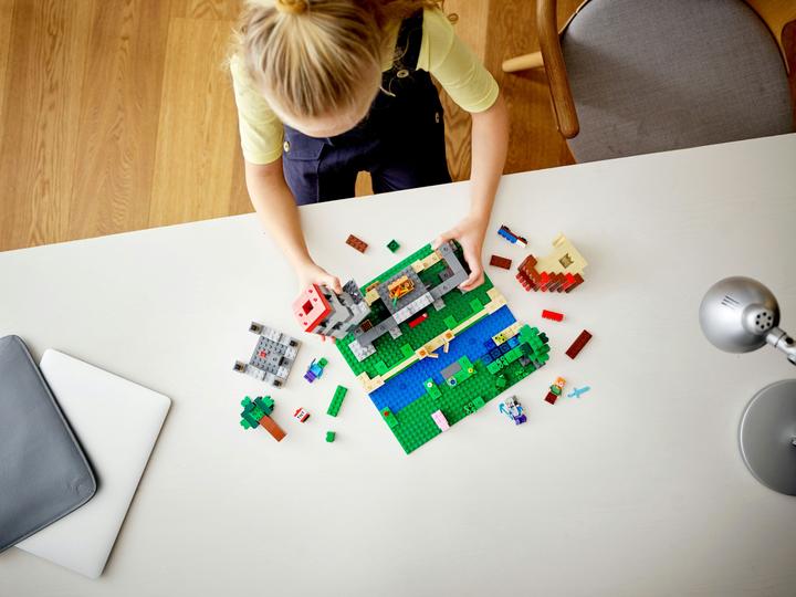 Immagine prodotto LEGO La scatola dell'artigianato 3.0 (21161, LEGO Minecraft)