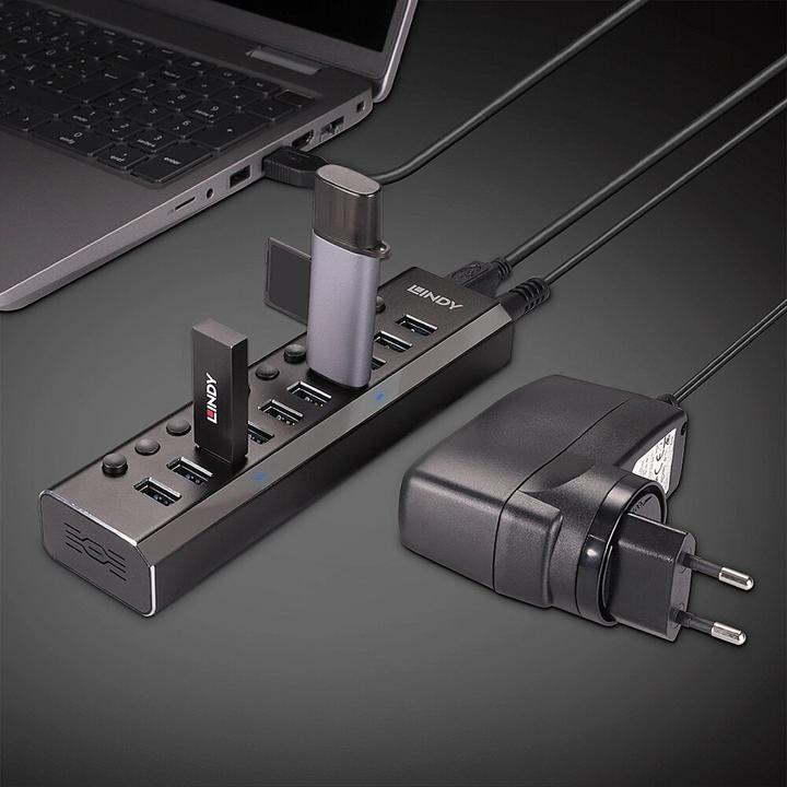 Immagine prodotto Lindy Hub USB 3.0 a 10 porte con interruttori On/Off Collega fino a 10 dispositivi USB (USB-C, 10 Porti)