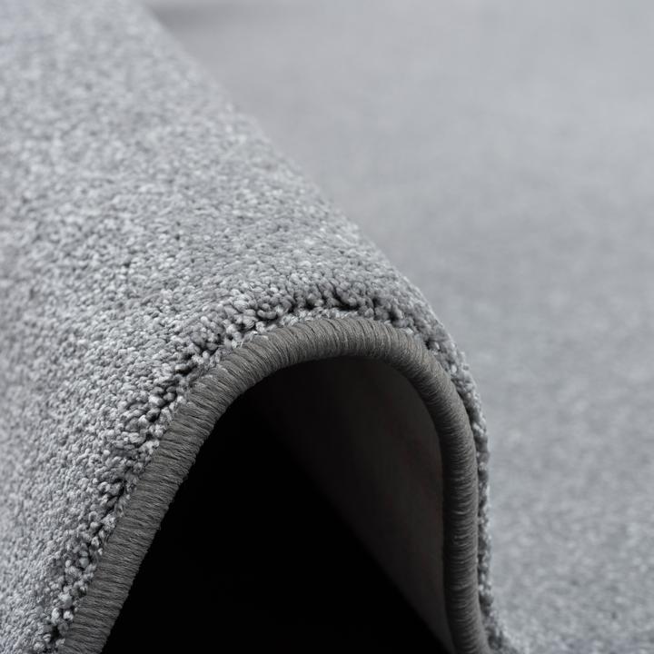 Produktbild Snapstyle Hochflor Luxus Velours Teppich Touch (80 x 400 cm)
