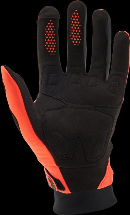 Actual product image Fox Defend Thermo Glove CE (S)