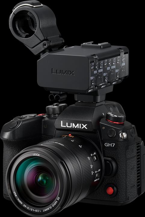 Actual product image Panasonic DMW-XLR2E Video Interface