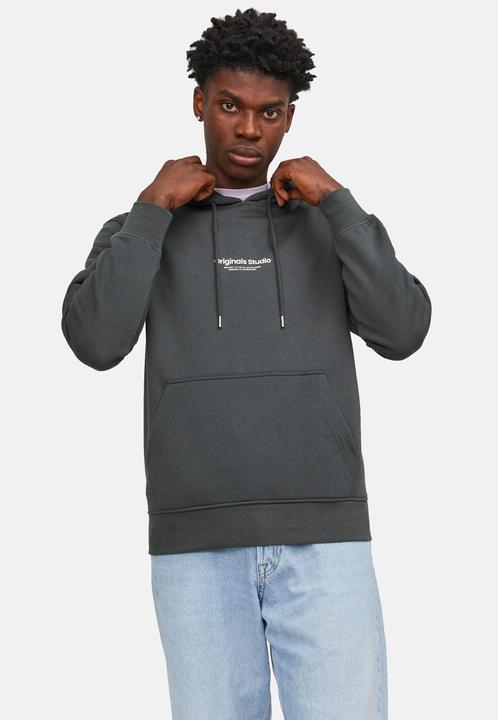 Image du produit Jack & Jones Sweat à capuche (XXL)