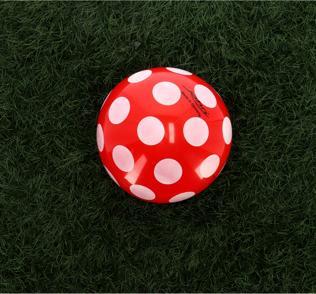 Immagine prodotto John Fungo a palla