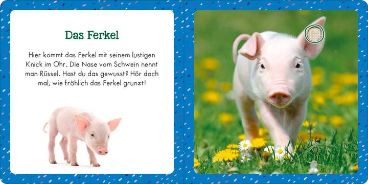 Actual product image Sound book for tiny tots - farm animals (German)