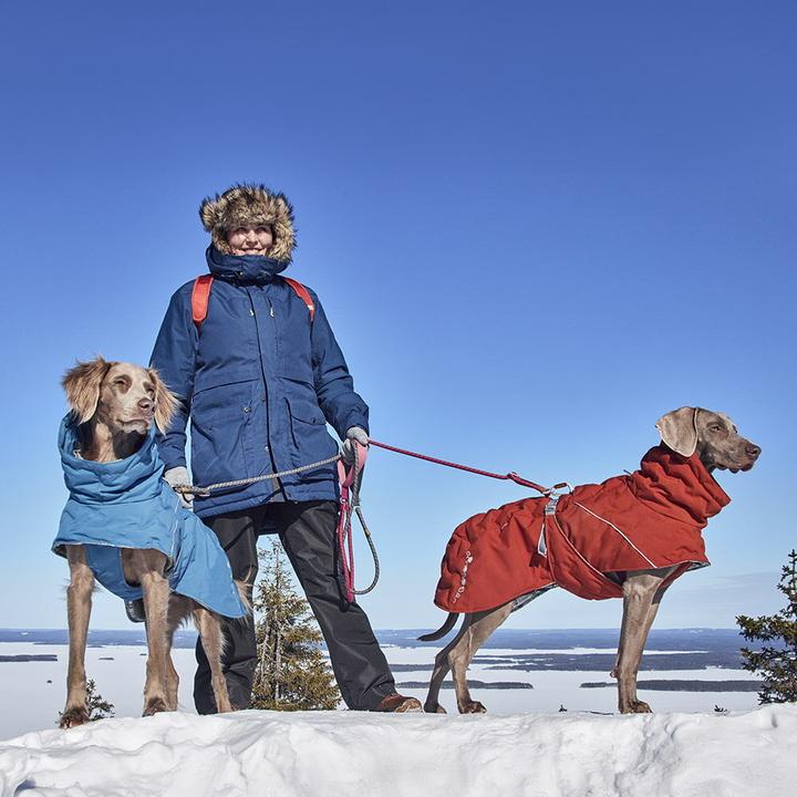 Immagine prodotto Hurtta Scaldino estremo V3 Eco Blue, 30 cm (30, Cappotto per cani)