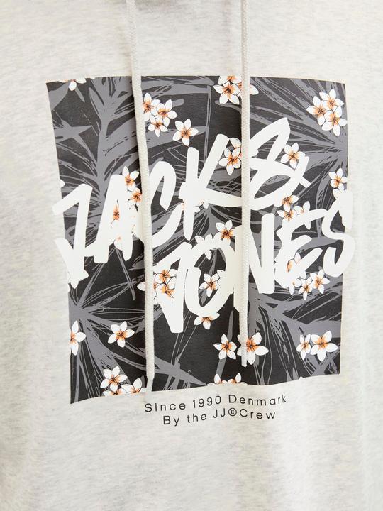 Actual product image Jack & Jones Logo hooded jumper Hooded jumper (XS)
