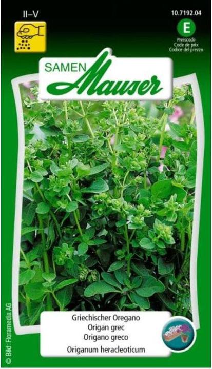 Actual product image Samen Mauser Greek oregano (Herb seeds)