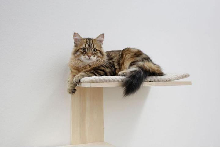 Image du produit Kerbl Timber (150 cm, Nature, Blanc)