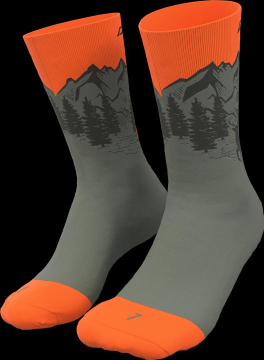 Immagine prodotto Dynafit Calzini Stay Fast Unisex (43 - 46)