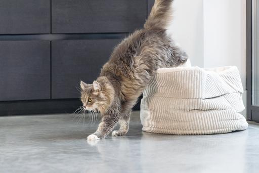 Image du produit Designed by Lotte Panier pour chats Ribbed (Chat)