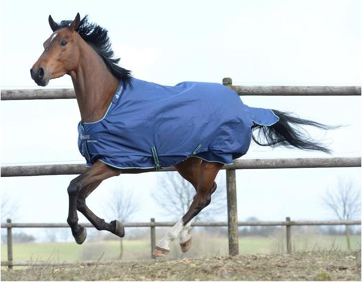 Actual product image Bucas Pasture rug Smartex Rain (145 cm)