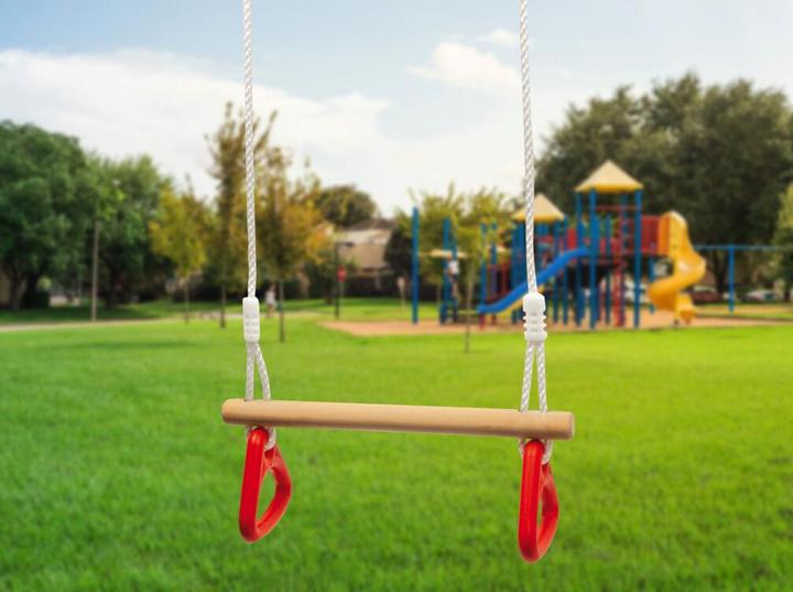 Productafbeelding small foot Schommel met turnringen