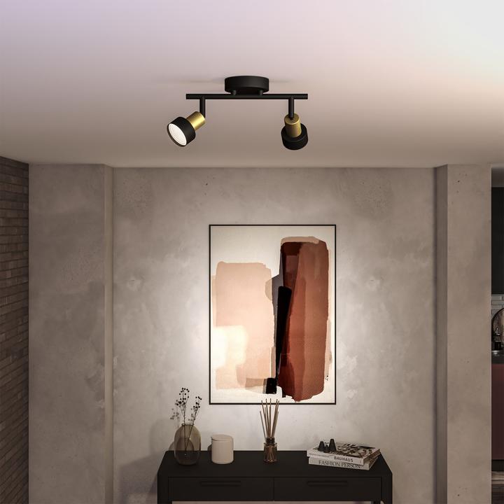 Produktbild Philips Conduit (GU10)