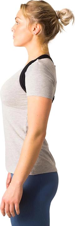 Actual product image Swedish Posture Flexi