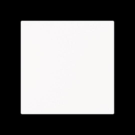 Actual product image Busch-Jaeger Rocker 1-fold Smart Switch