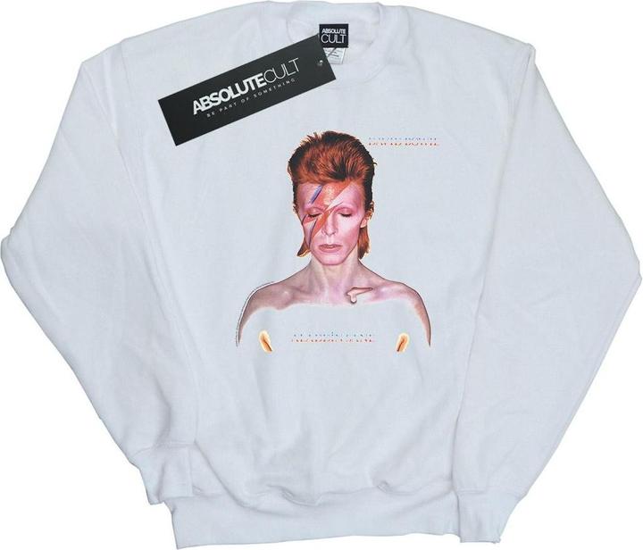 Actual product image David Bowie Womens/Ladies Aladdin Sane Version Sweatshirt (L)