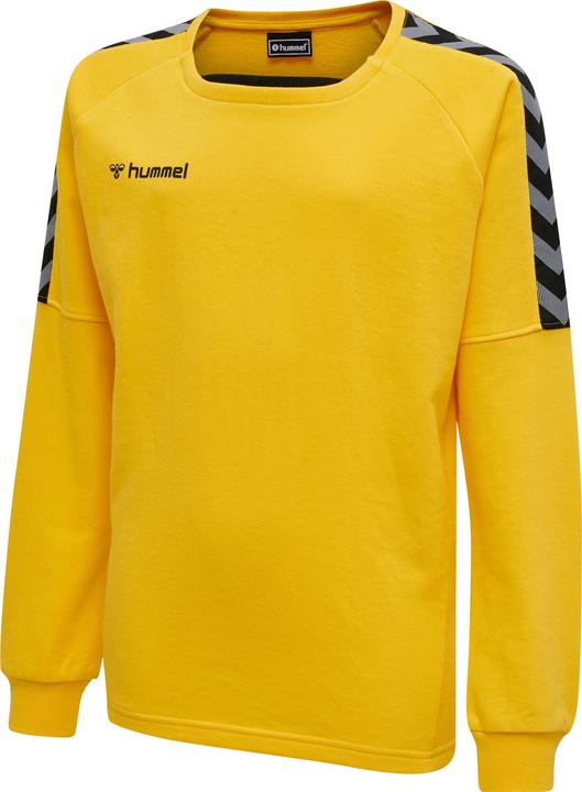 hummel Authentic Kids Training Sweat